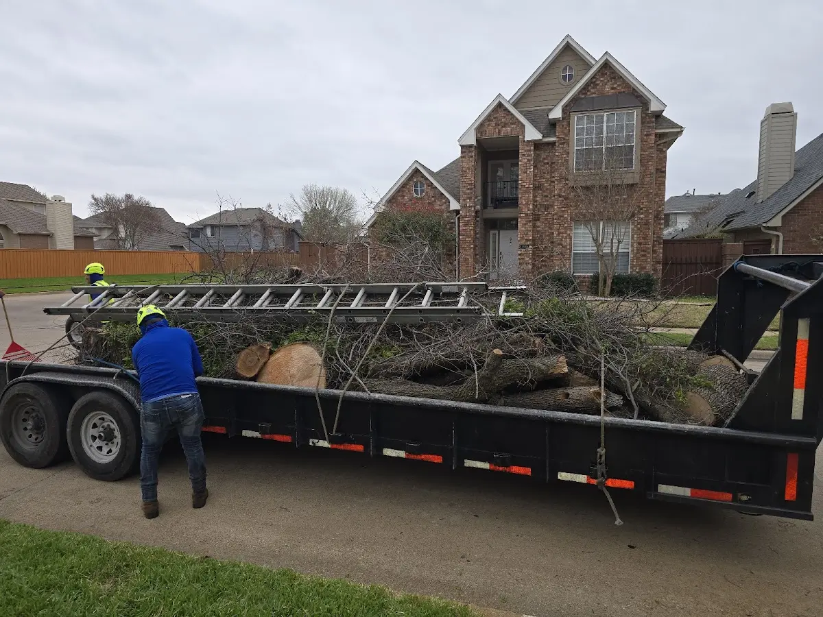 Expert Lot Clearing with proper safety equipment in Charleroi